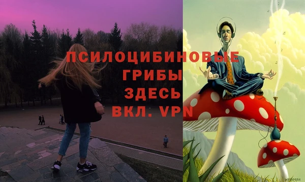 a pvp Алзамай
