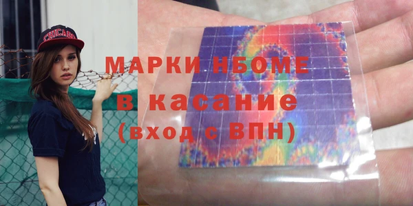 шишки Аша