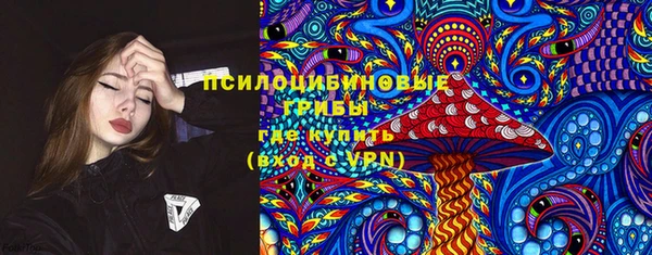 ALPHA PVP Алексин