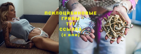 ECSTASY Абаза