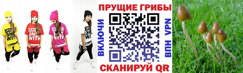 Псилоцибиновые грибы мухоморы  гидра зеркало  Егорьевск 