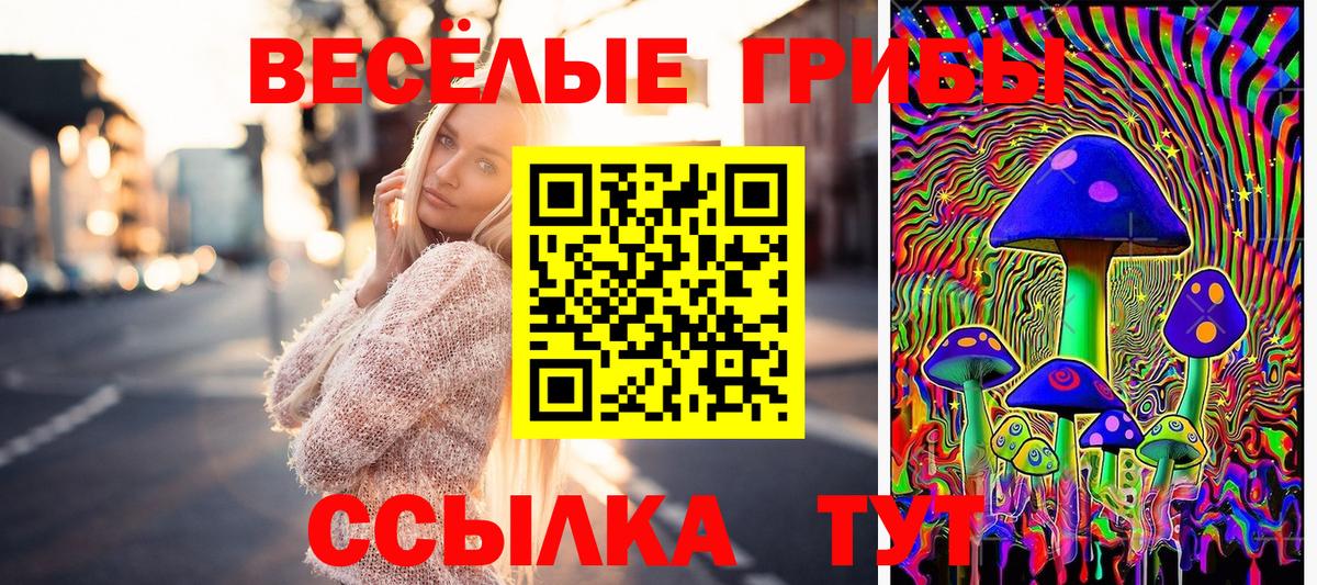 Псилоцибиновые грибы GOLDEN TEACHER Егорьевск