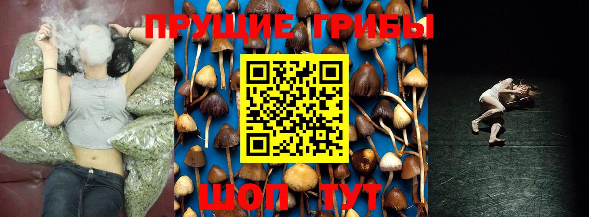 Егорьевск  Галлюциногенные грибы Magic Shrooms  цены наркотик  Вход с VPN  Псилоцибиновые грибы ЛСД 